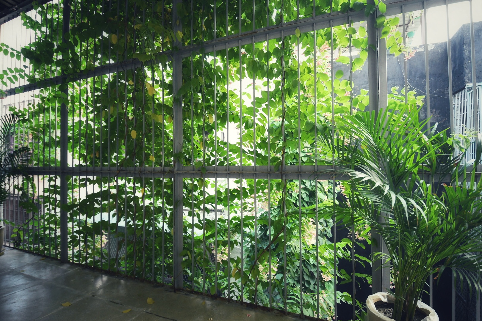 Sukoon Homestay Room 2